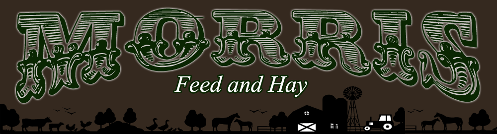 Morris Feed and Hay